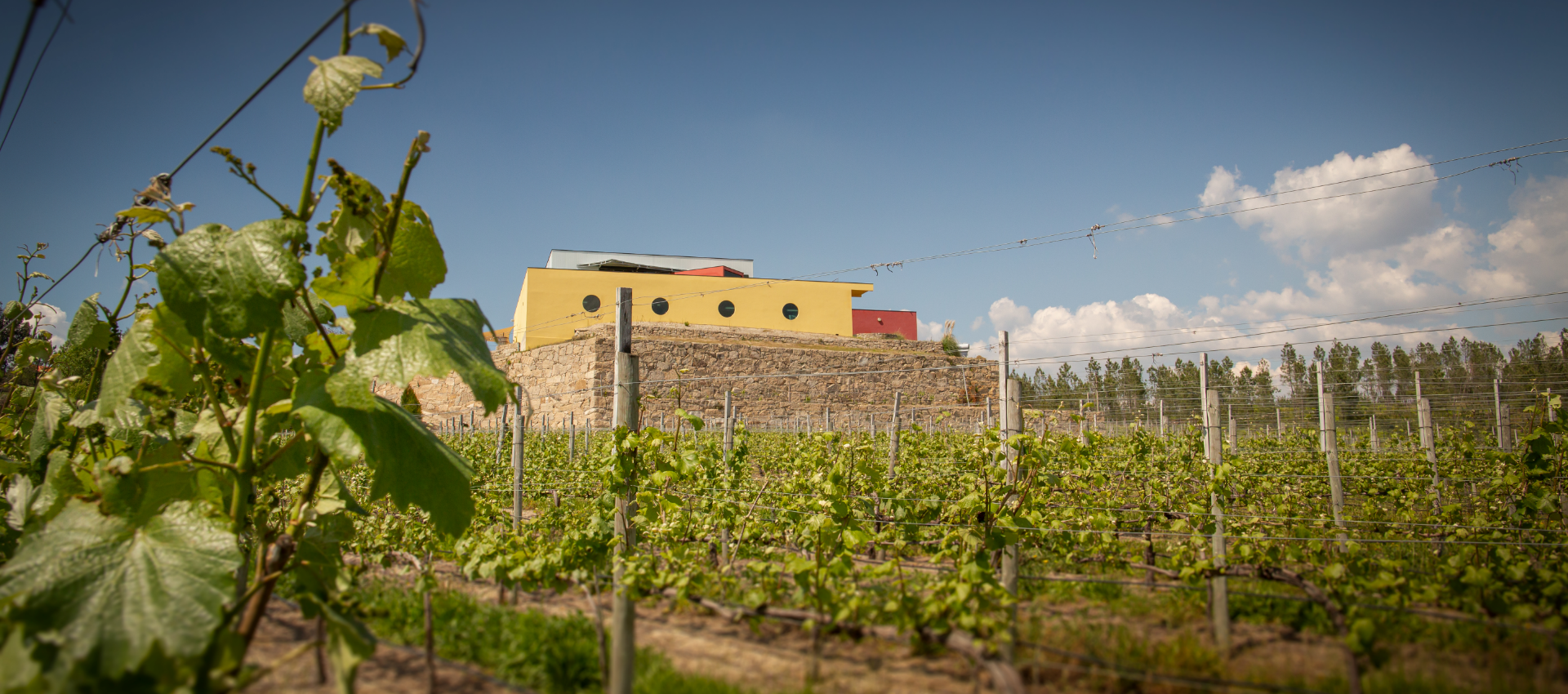 Quinta de Santa Cristina